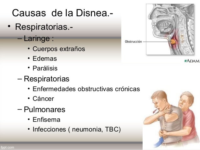 semiologia del aparato respiratorio